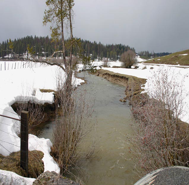 Degrading stream in the Potlatch Basin