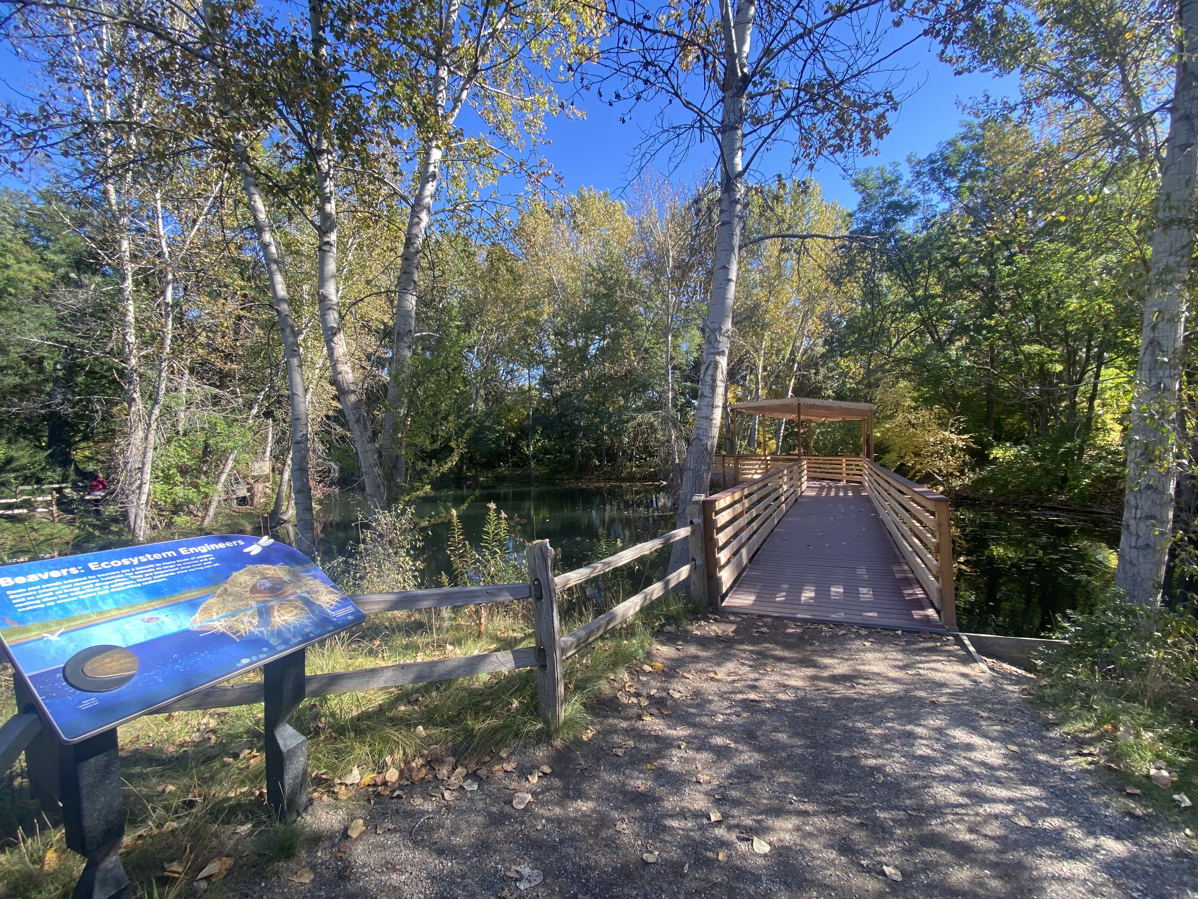 MK Nature Center pond bridge in the fall