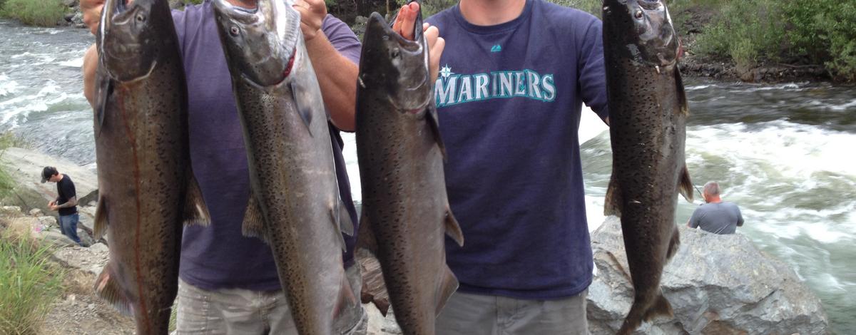 Salmon Fishing Little Salmon River in 2015