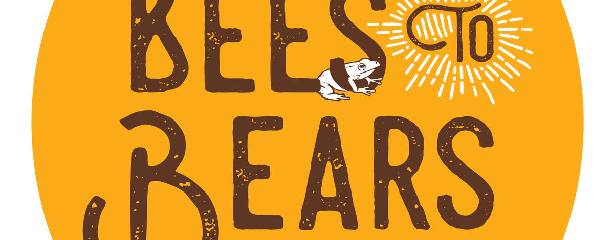 Bees2Bears Logo