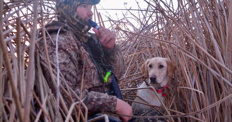 duck_hunter_with_dog_fall-winter