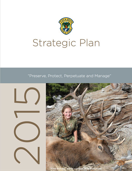 Strategic Plan Cover 2015