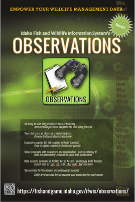 Observations