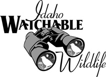 watchable wildife logo