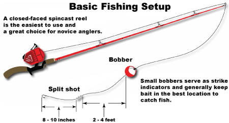 Best Fishing Pole Setup For Trout - All About Fishing