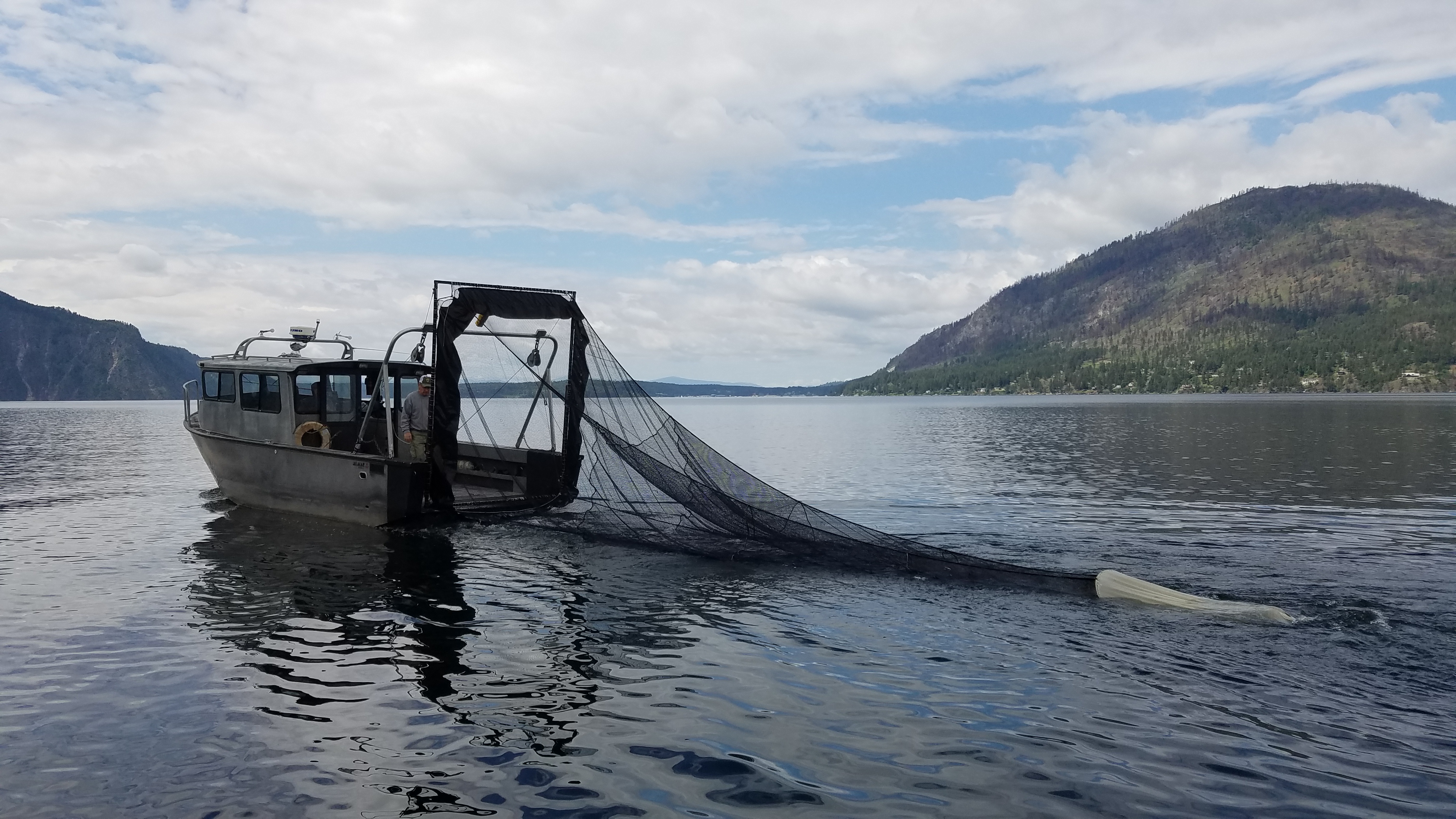 kokanee trawler