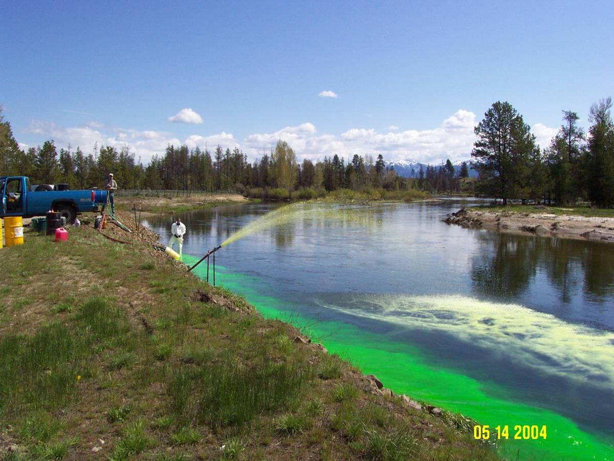 Applying Rotenone to the North Fork Payette River above Lake Cascade.