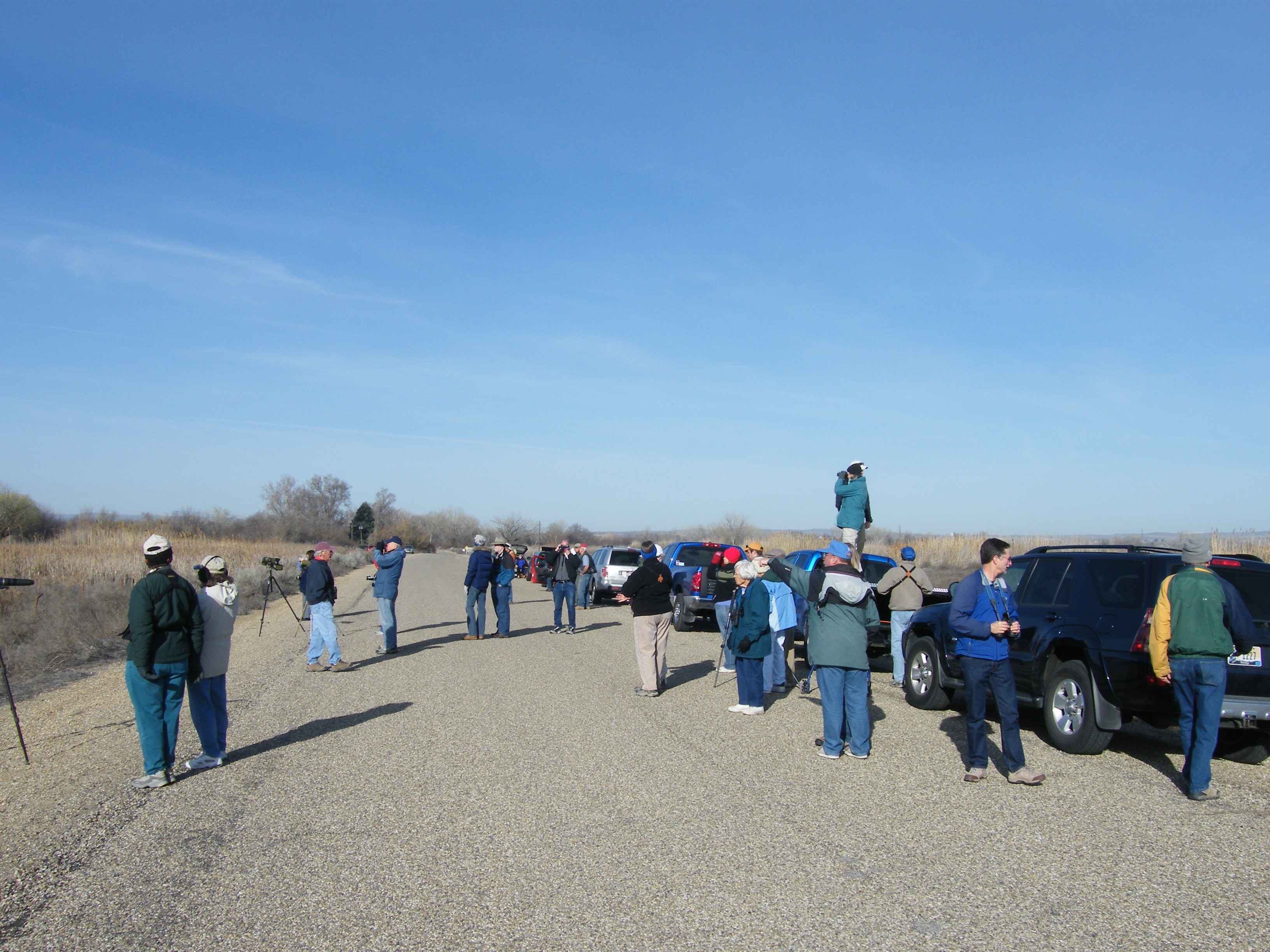 people watching birds at the Fort Boise Wildlife Management Area March 2010