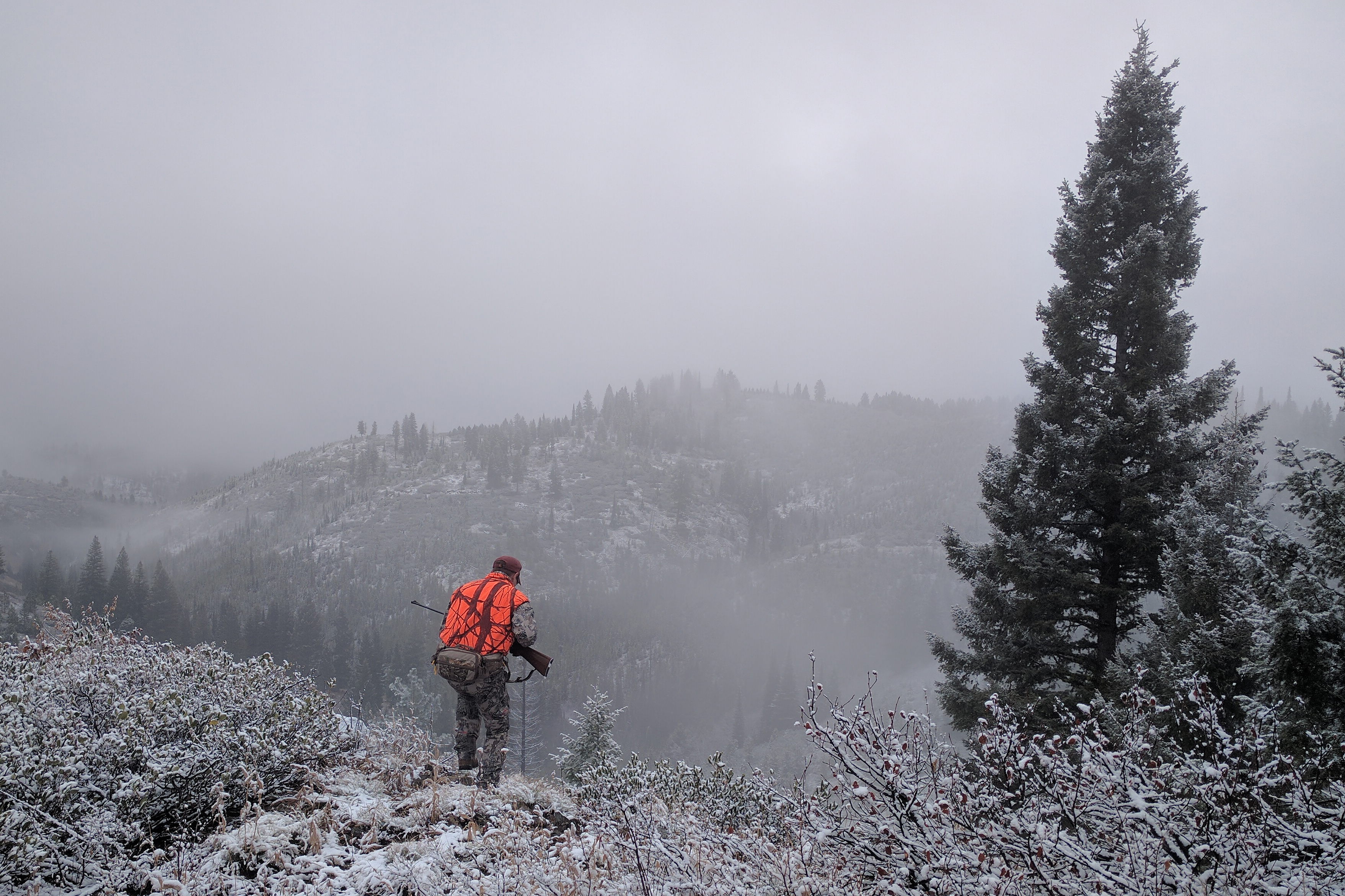 big game hunter dressed in hunter orange looking game on a mountain ridge with some snow on the ground Ben Studer medium shot, November 2016