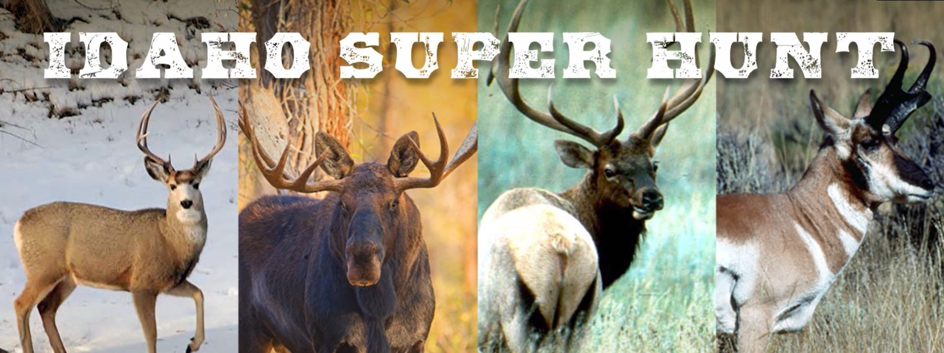 Idaho Super Hunts! | Idaho Fish and Game