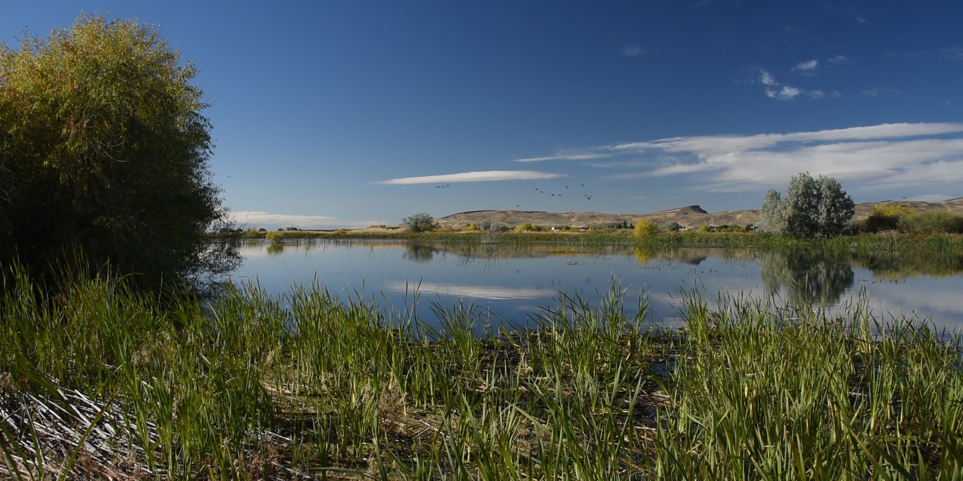 Carey Lake WMA