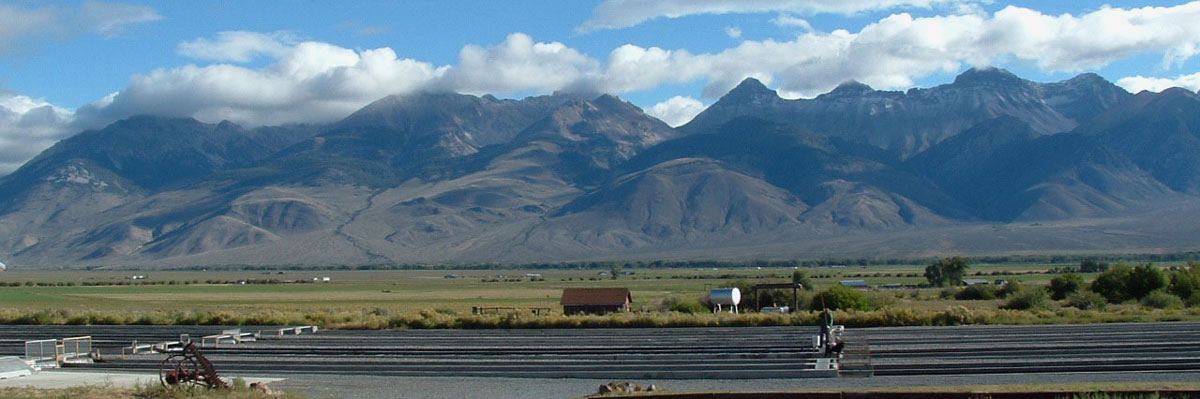 Mackay hatchery morning