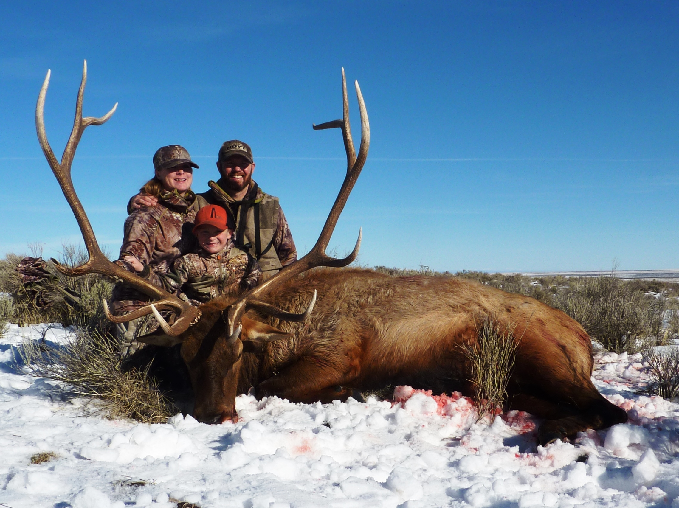 Elk Super Hunt