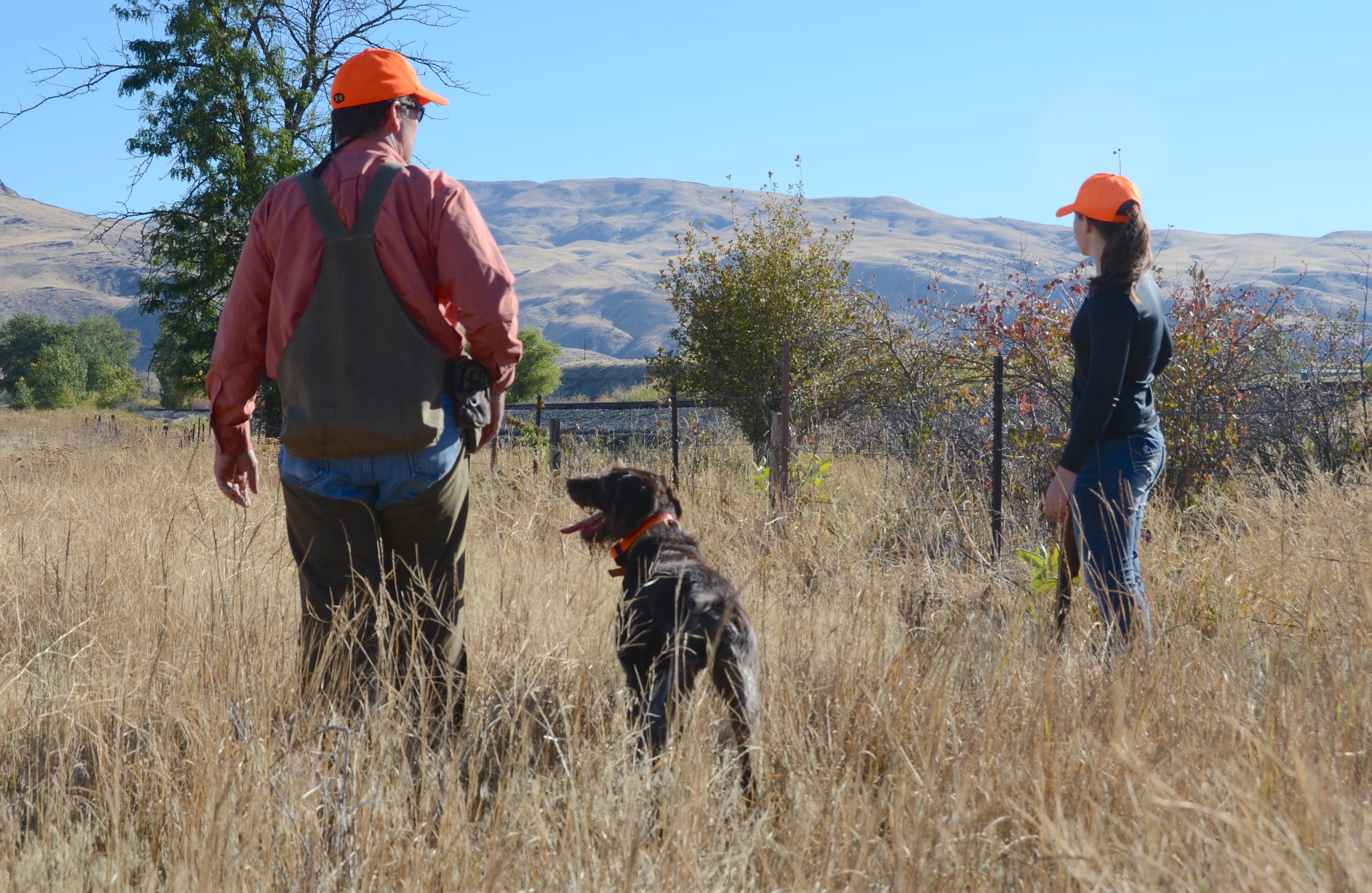 Upland bird hunters, southwest region, Montour Wildlife Management Area