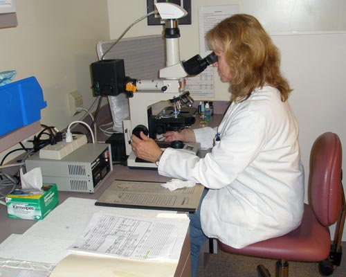 Using microscope to locate abnormal cells in fish sample