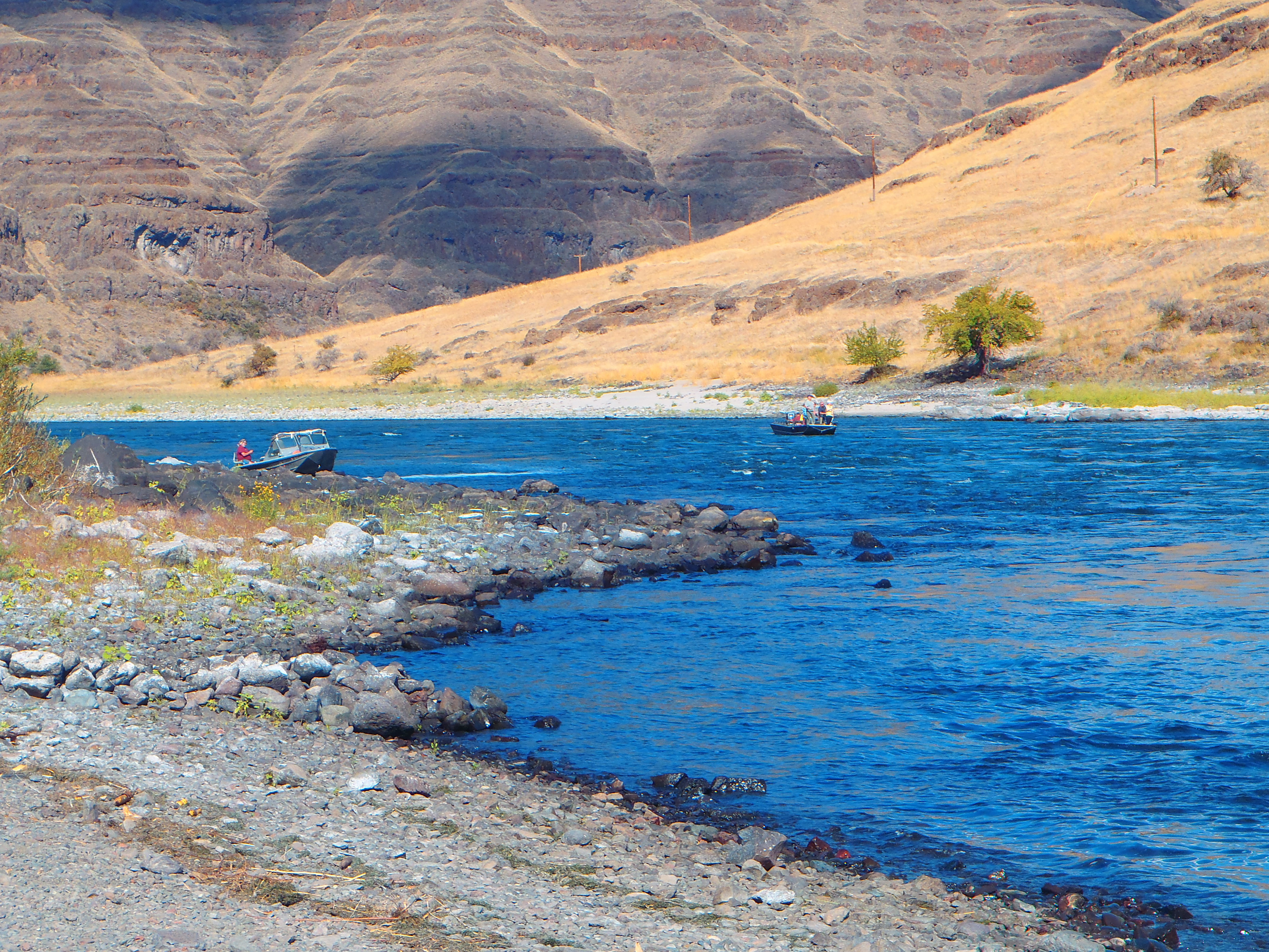 Fall fishing for steelhead and salmon on the Snake River 