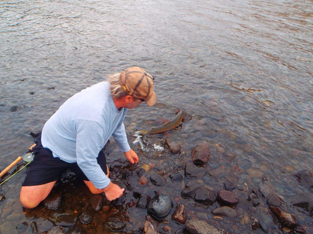 Fishing for steelhead on the Clearwater and Snake Rivers in 2016