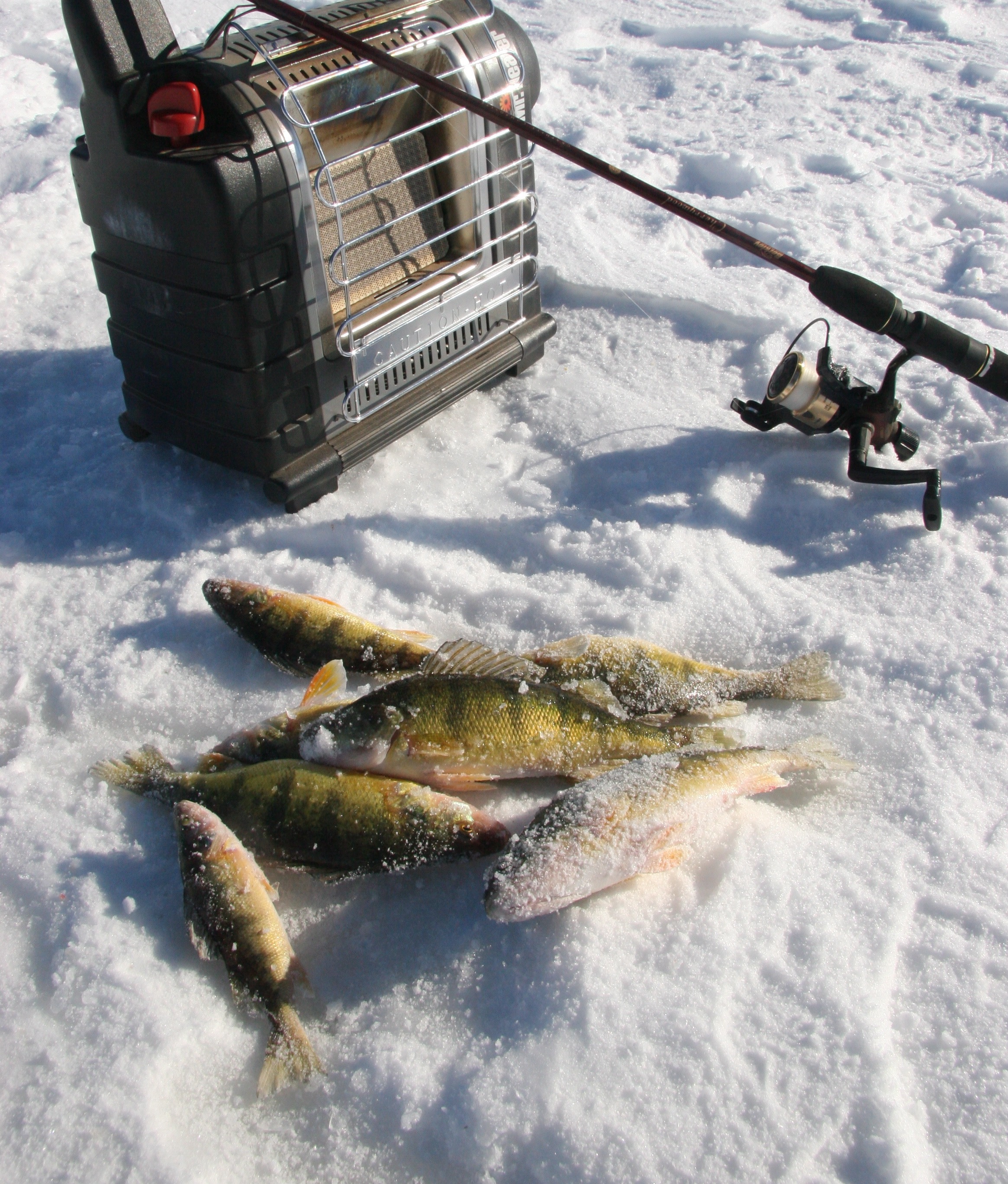 A Comparison between Fishing in Snow  and Ice Fishing