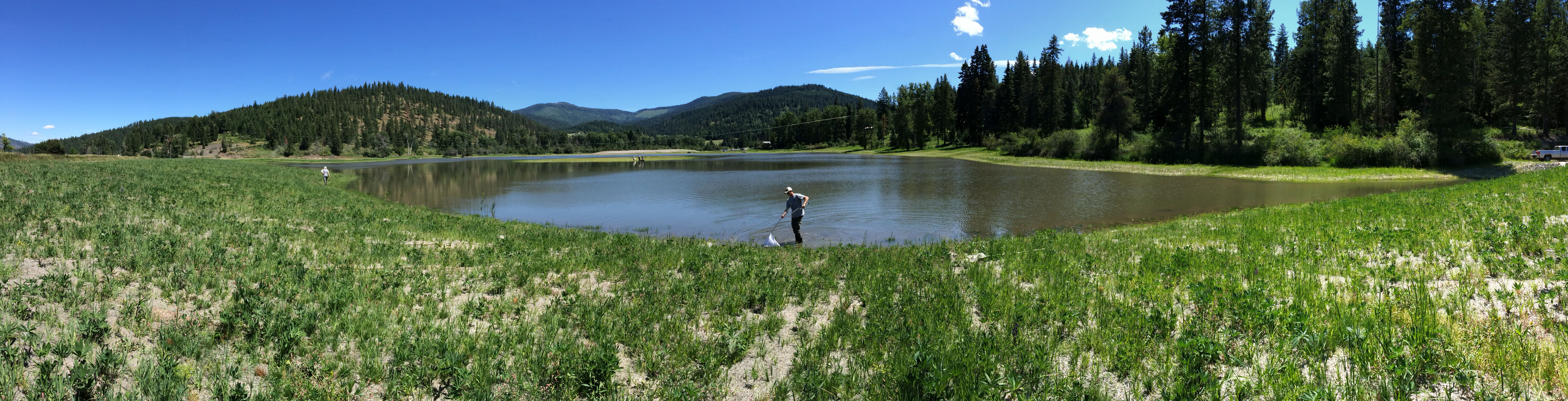 Robinson Creek wetland segment on the CDARWMA