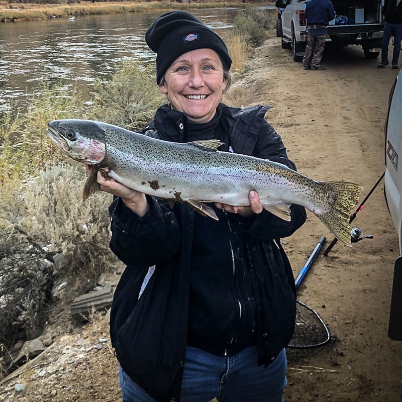 Nov. 2: Upper Salmon River Steelhead fishing report | Idaho Fish and Game