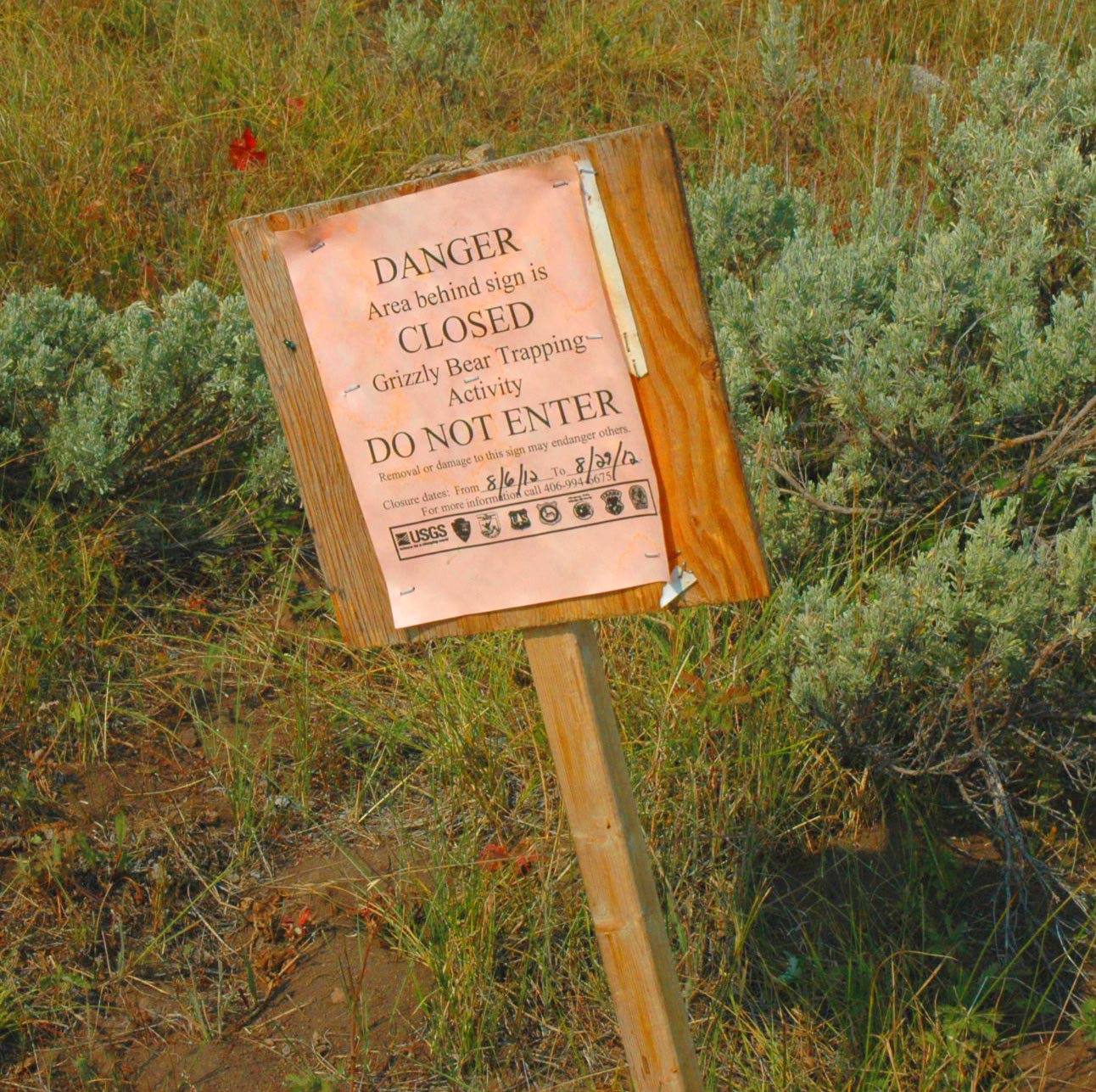 Grizzly bear trapping warning sign