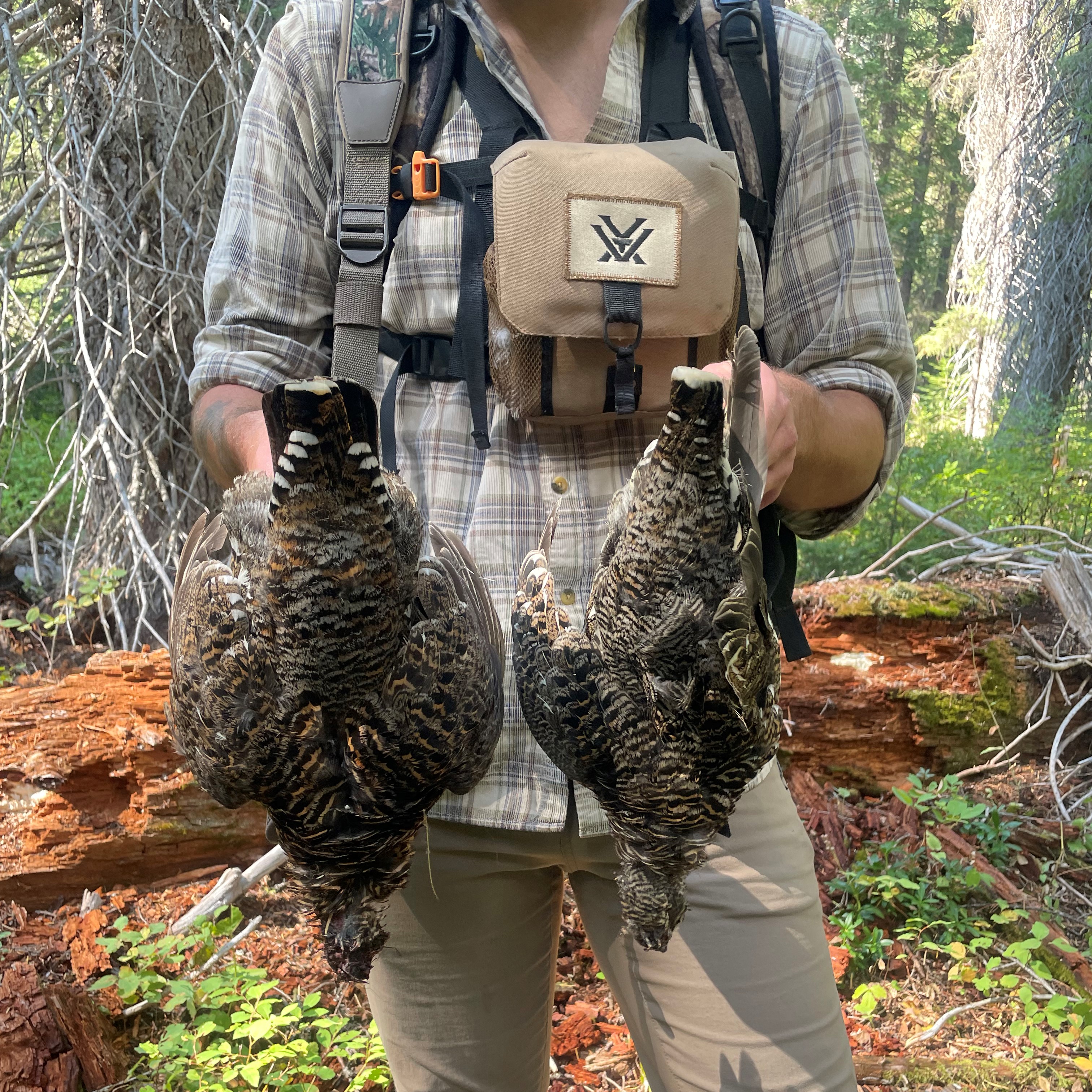 grouse_hunter_cropped_liess_2022_82387378