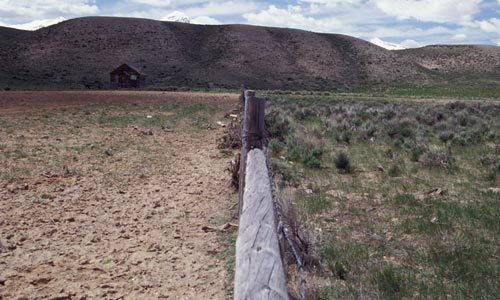 Fenced land vs open range