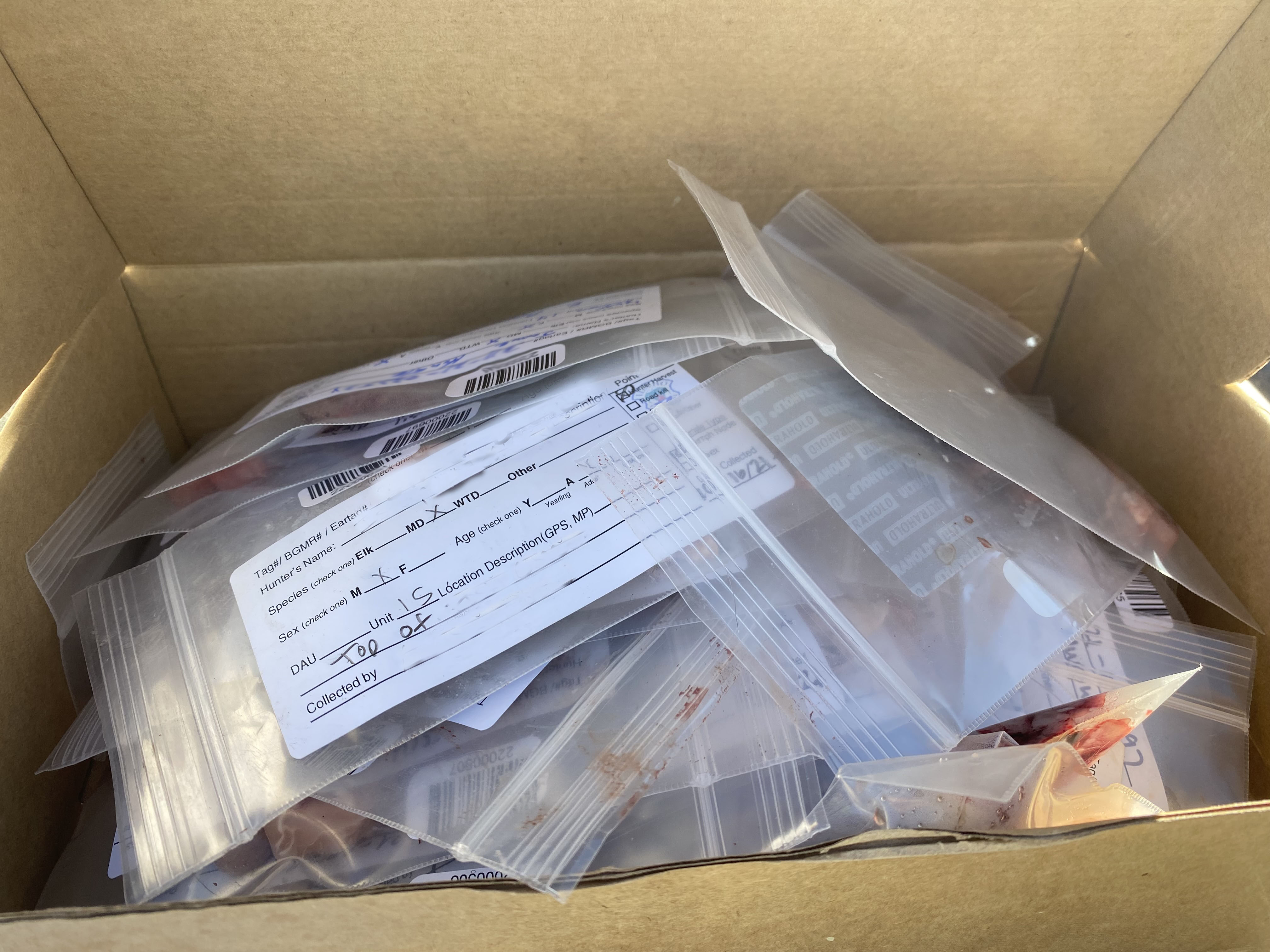 A box of sample kits
