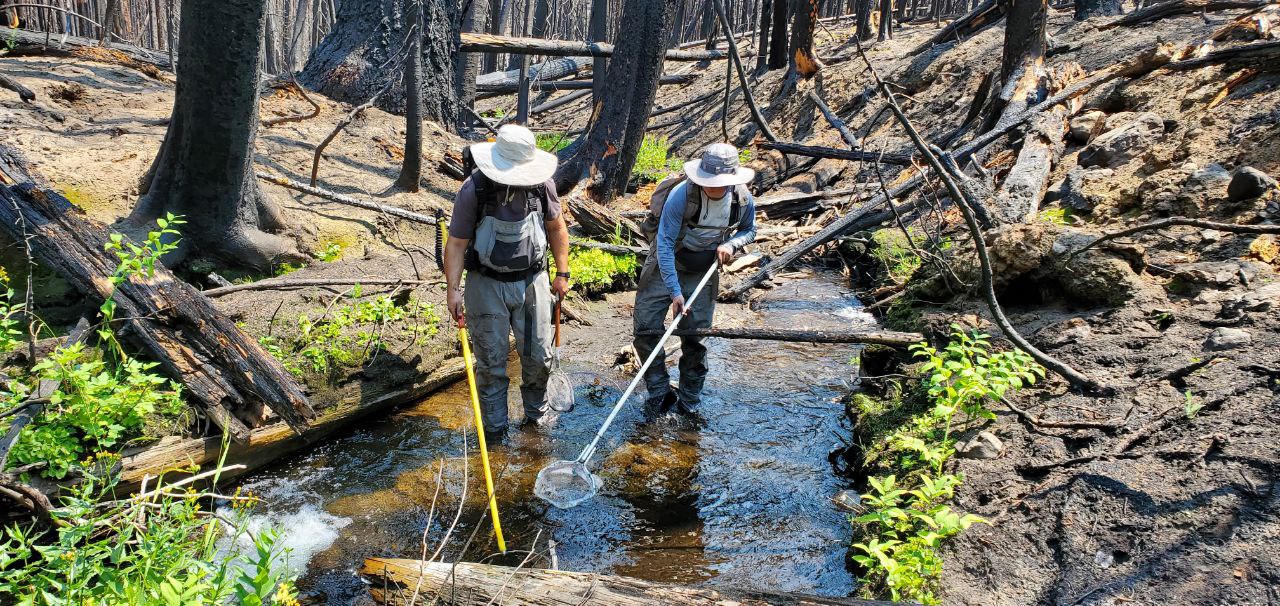 Biologists survey the Crooked River for bull trout.