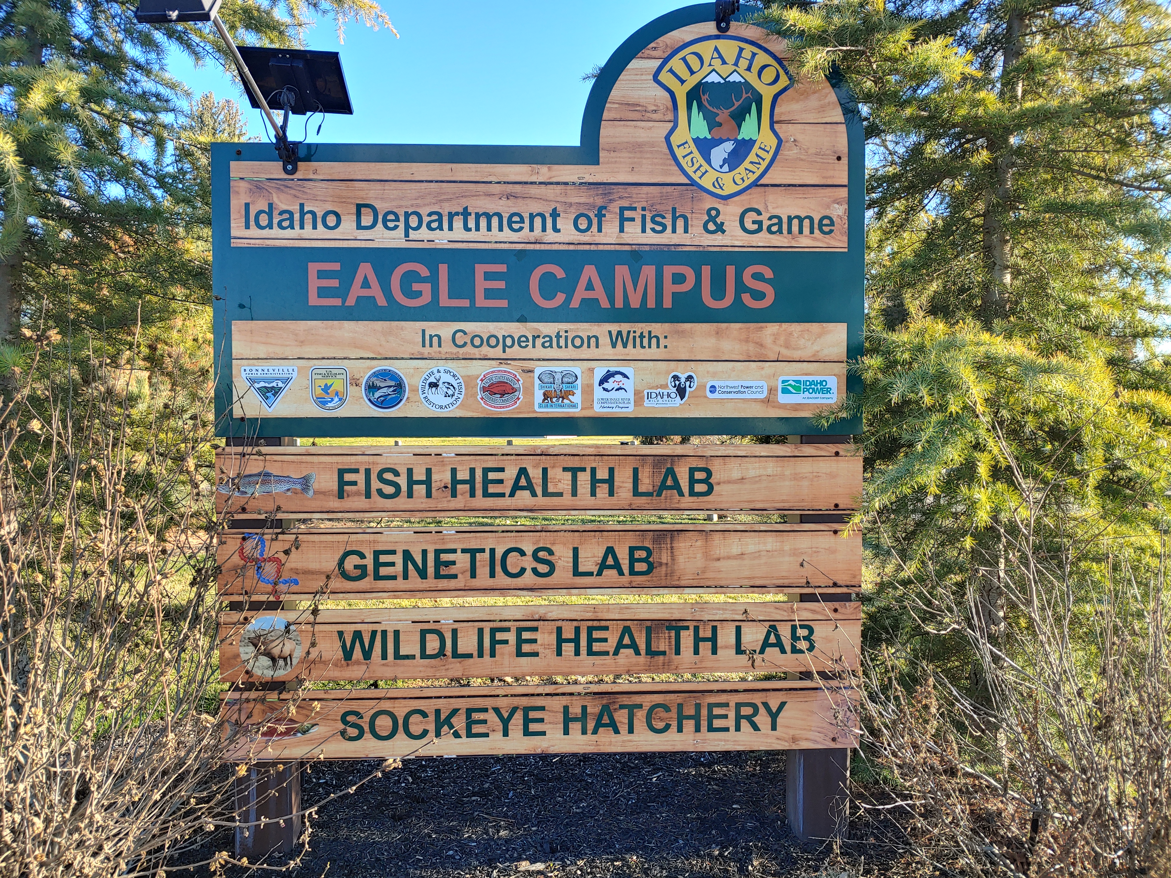 Eagle Hatchery Sign