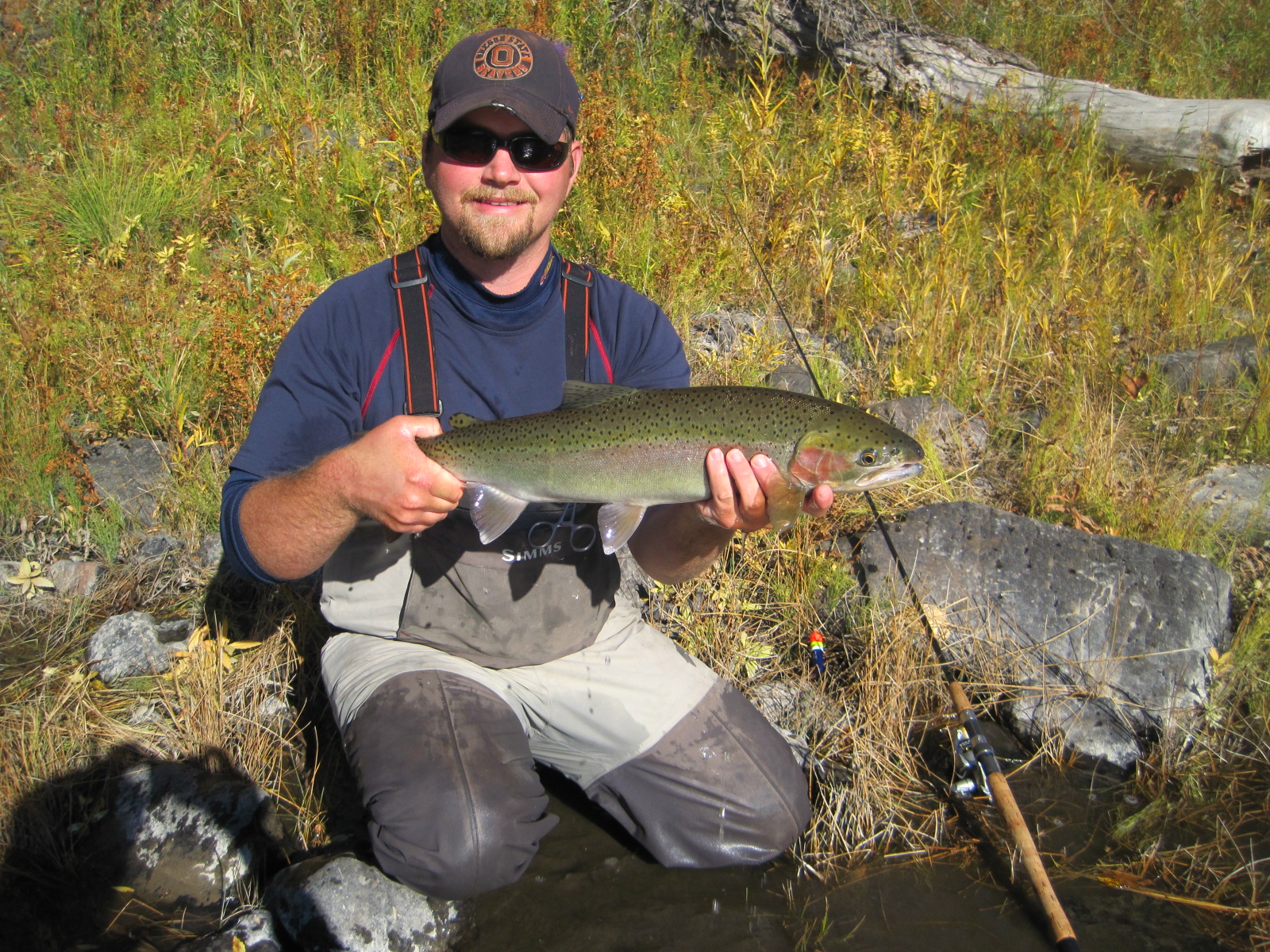 Timing and Locations of the Columbia River Steelhead Run - A Guide for  Anglers