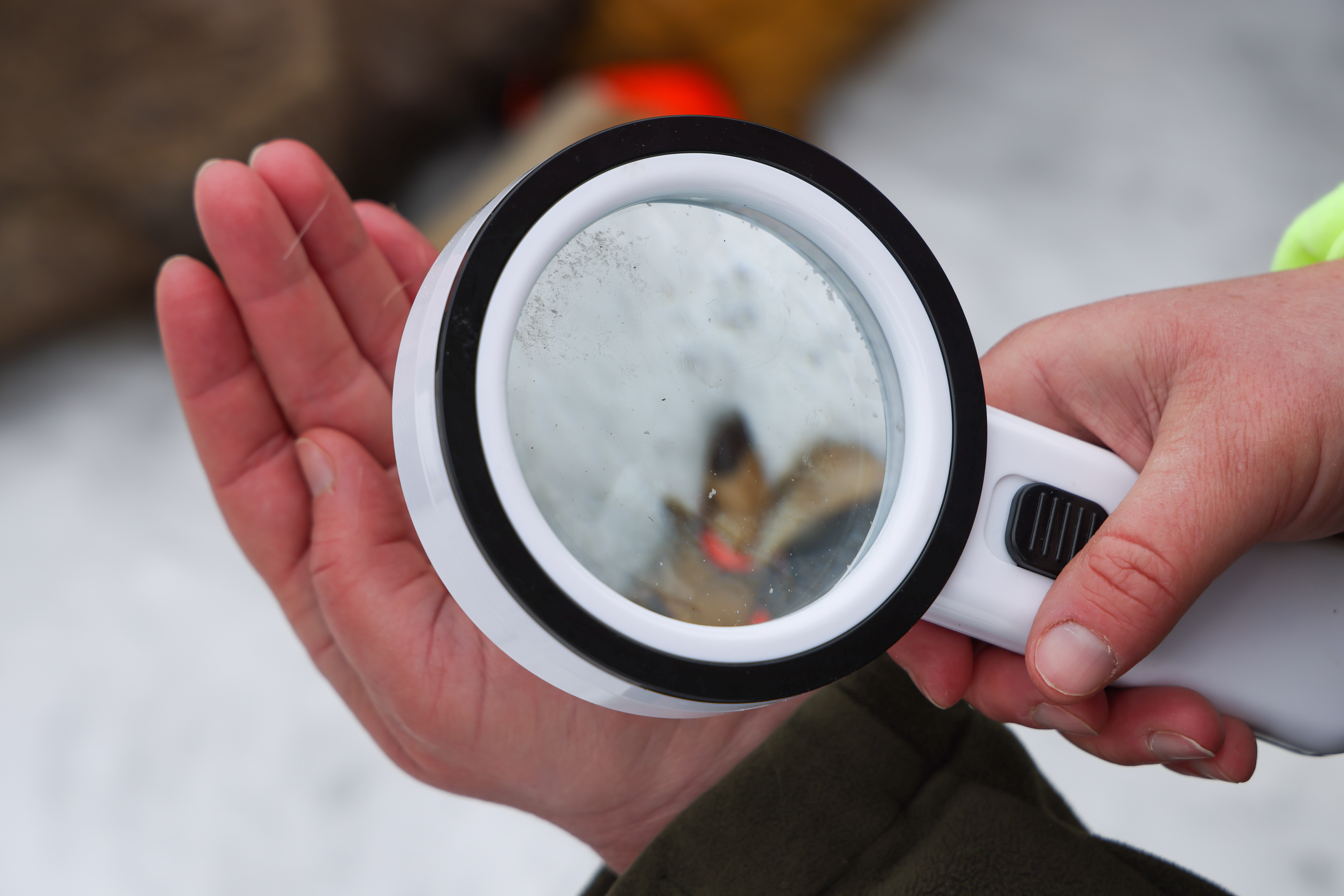A biologist holds a magnifying glass to examine a chewing louse pulled off of a deer in Cascade.