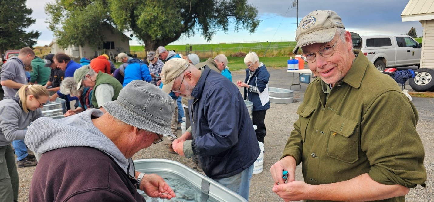 Large group clipping fish fins at the hatchery