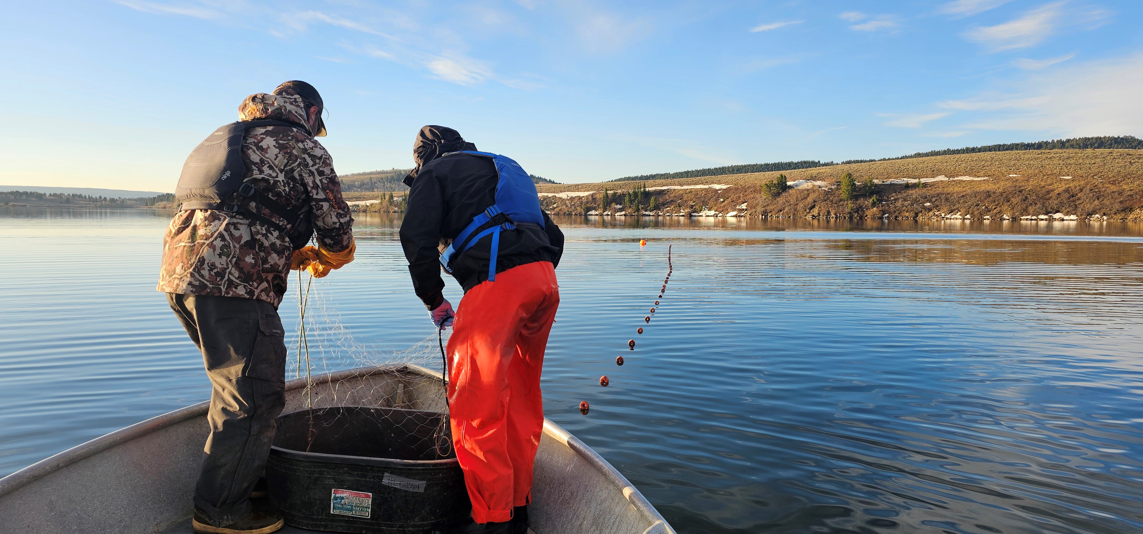Pulling nets on Henrys Lake