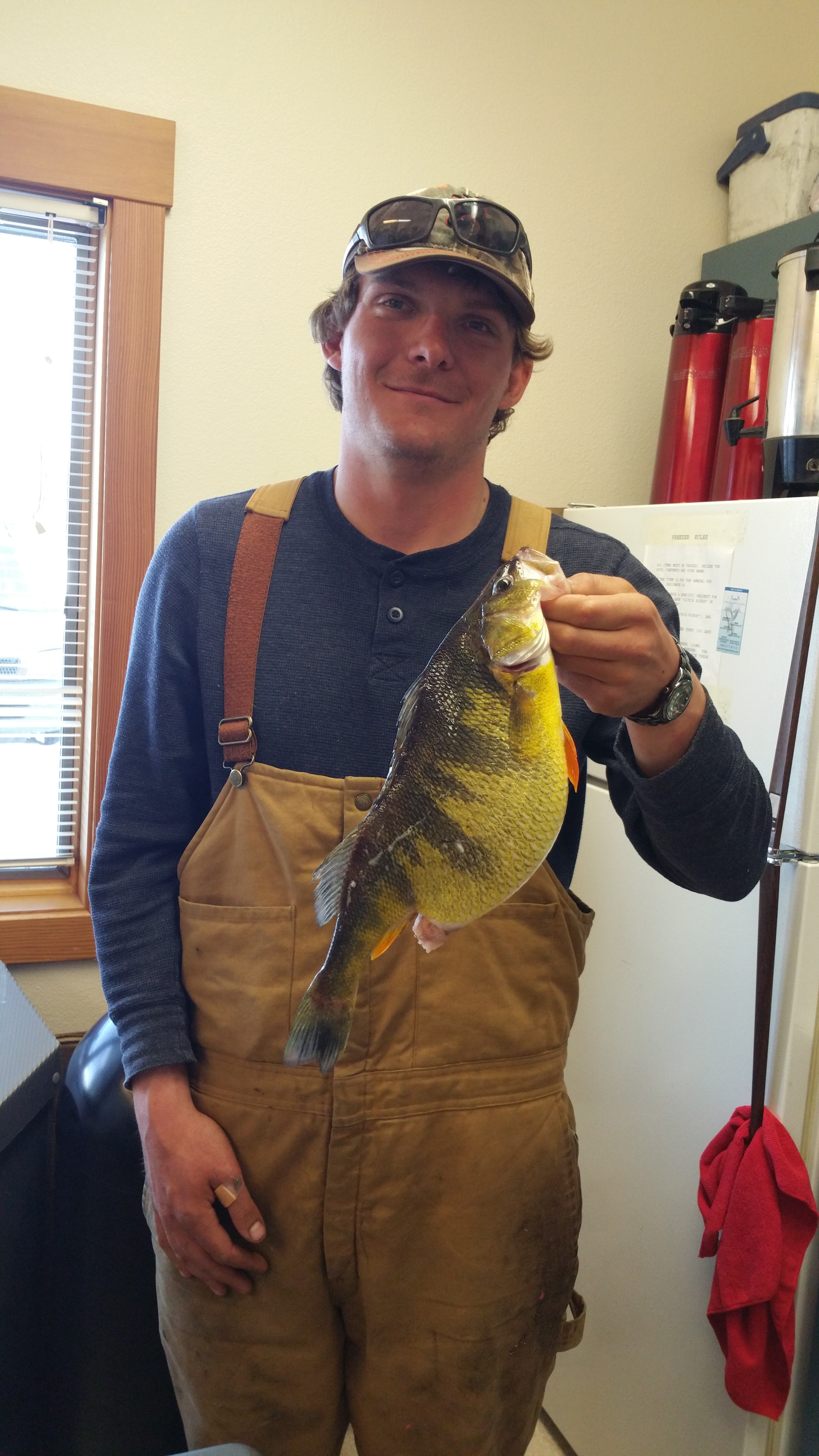 The Next State Record Perch Is Swimming In Lake Cascade Idaho Fish