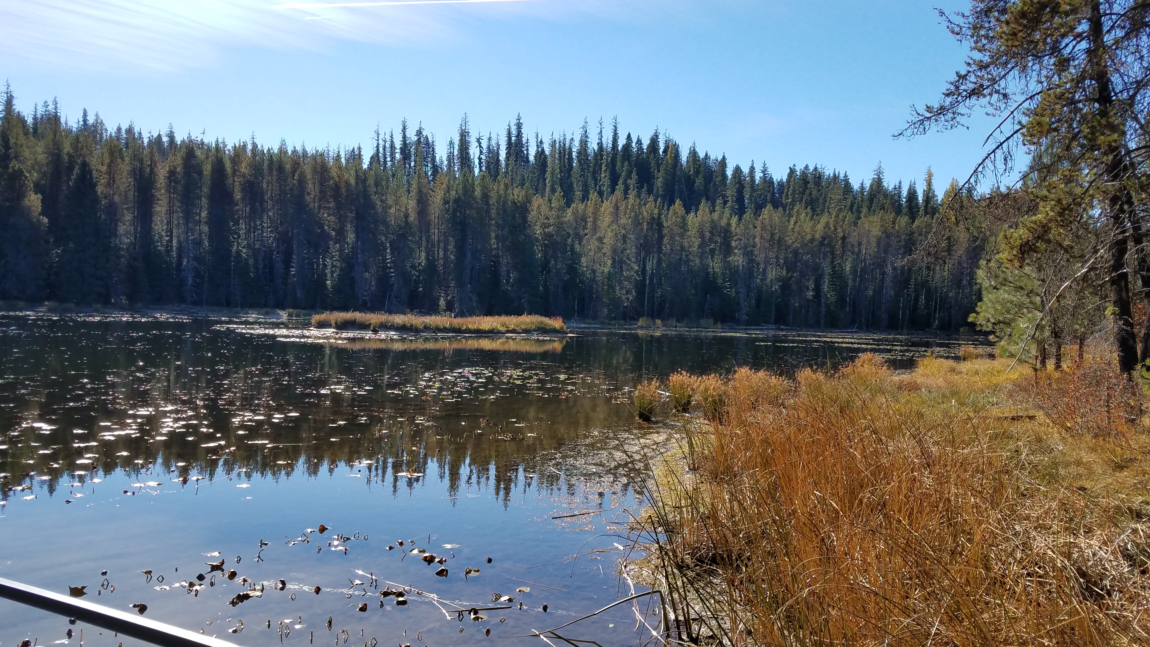 Clearwater Region Highlights of 2020: Moose Creek reservoir vegetation  removal shows positive results