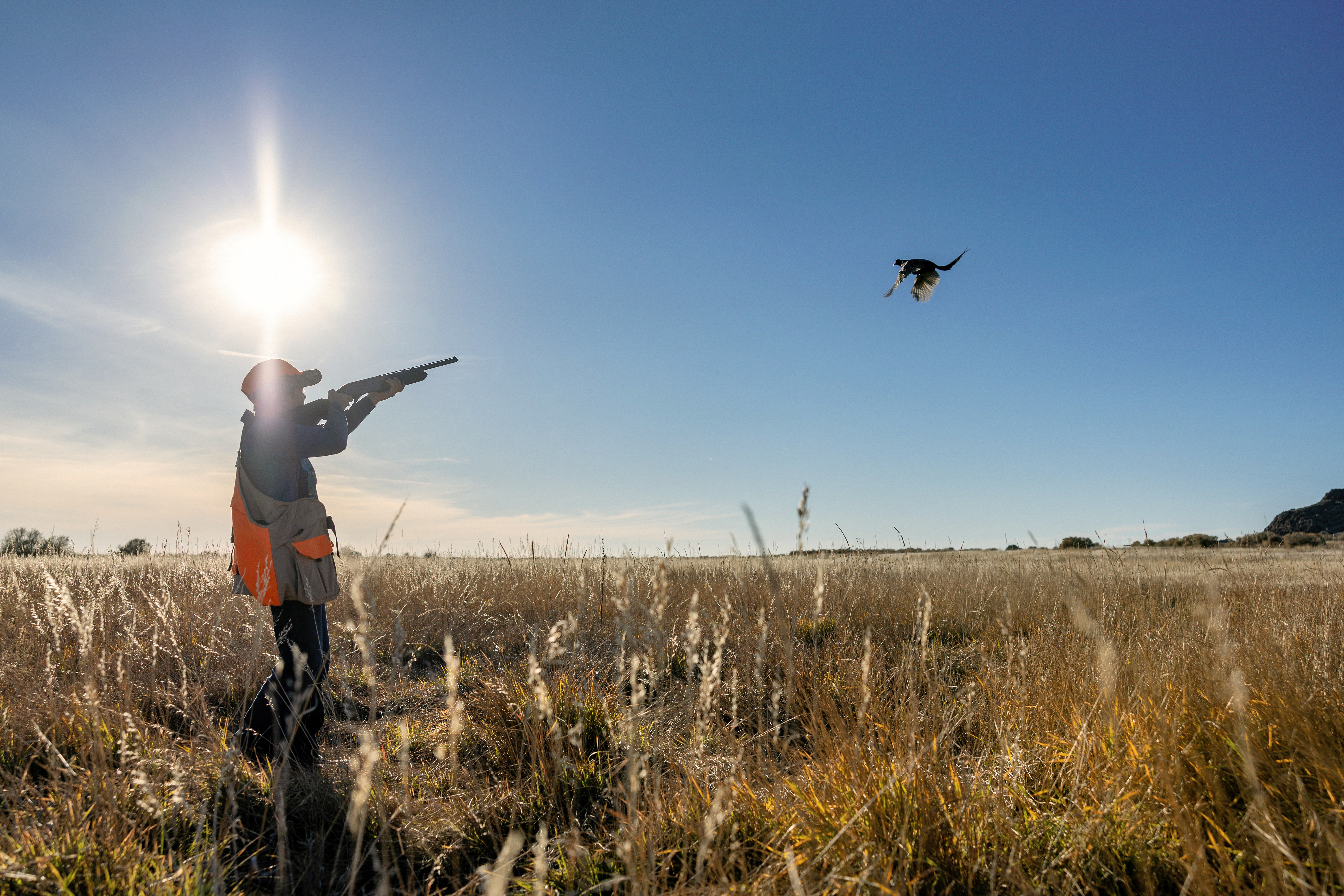 Youth hunter shooting a pheasant in the Magic Valley Region