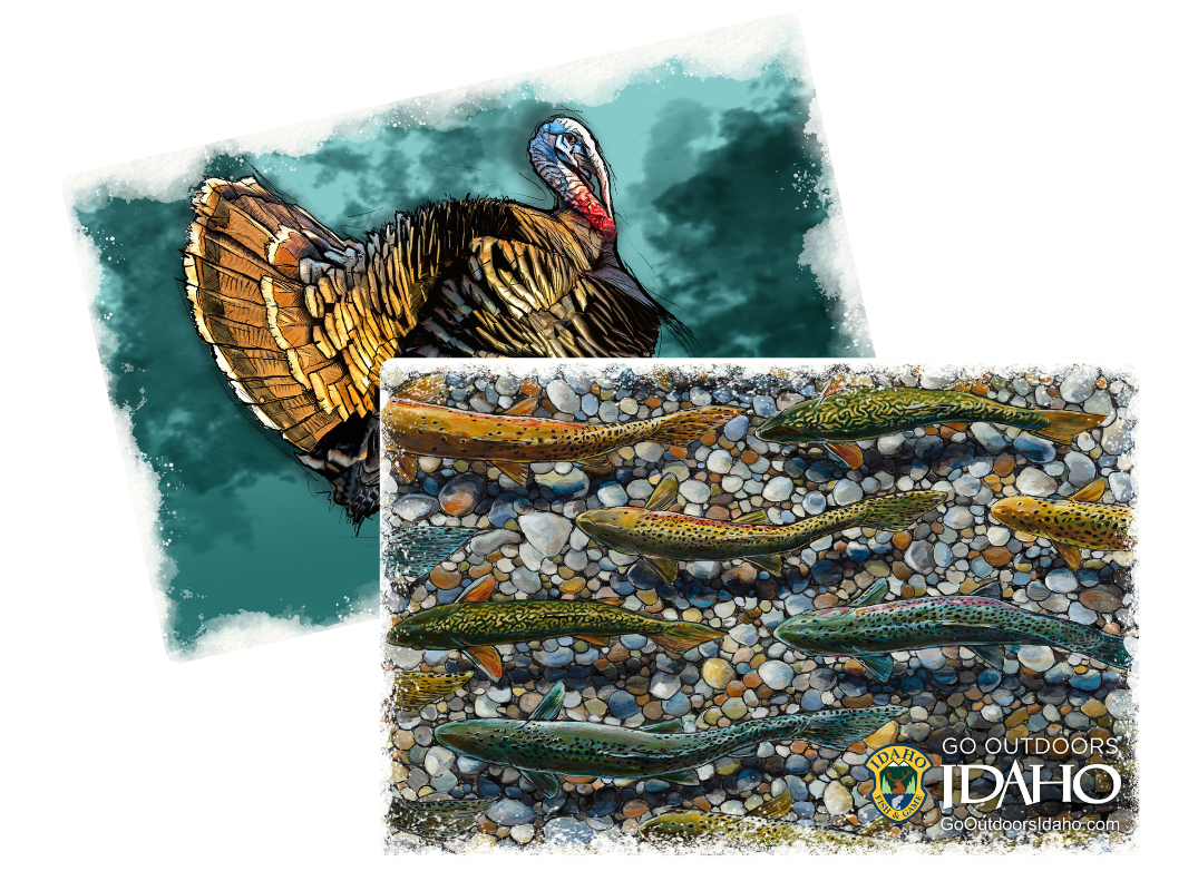 2024_id_trout_turkey_composites_1075_x_782