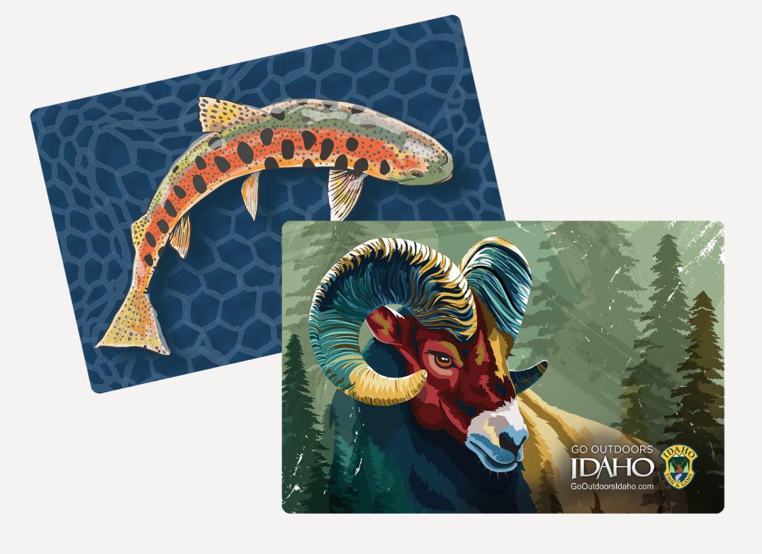 2026_bighorn_sheep_redband_trout_composites_500x400