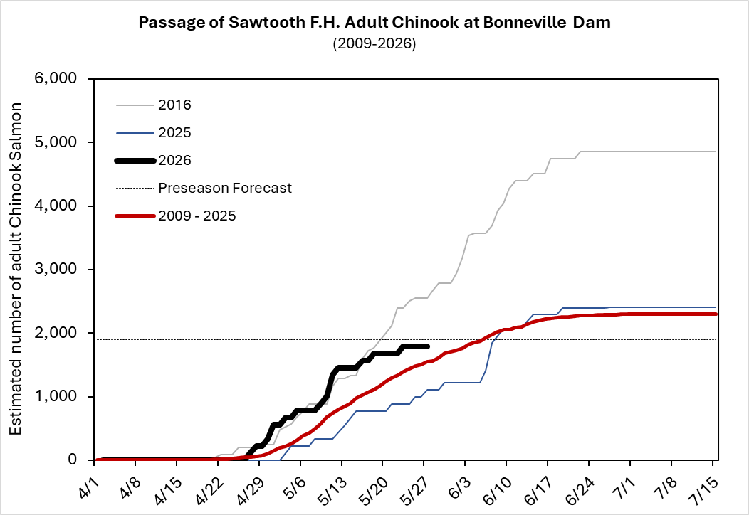 Sawtooth Chinook run timing at Bonneville 2026