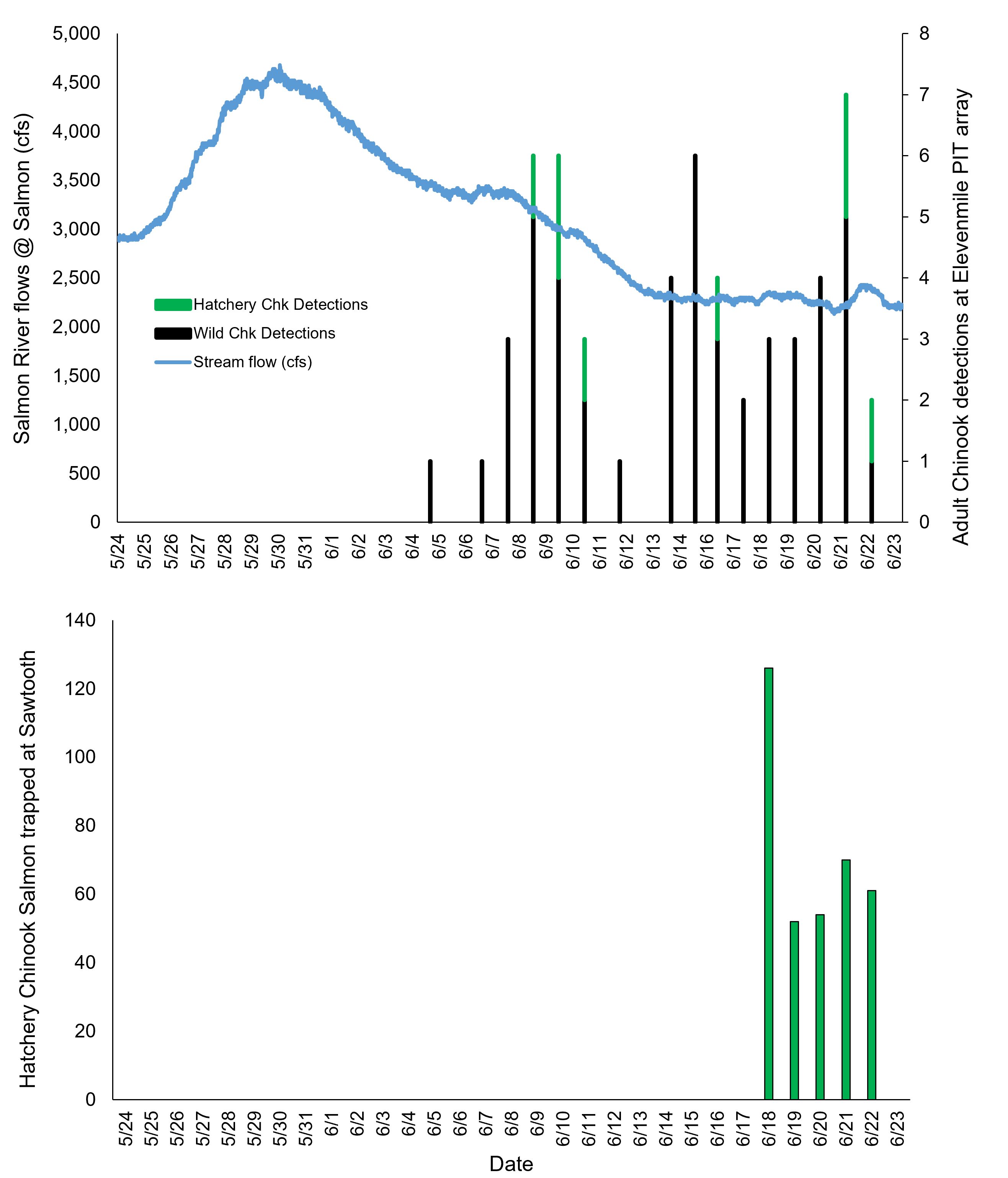 Sawtooth Chinook run timing at 11mile and SAWT trap