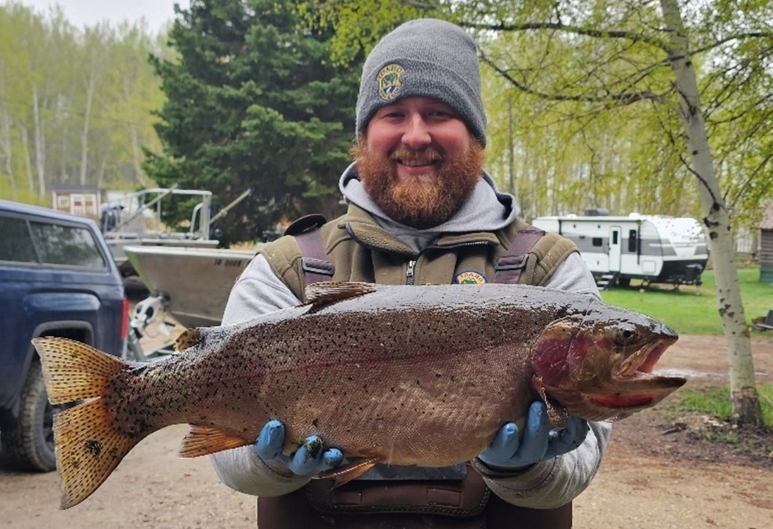 Man holding a large hybrid trout