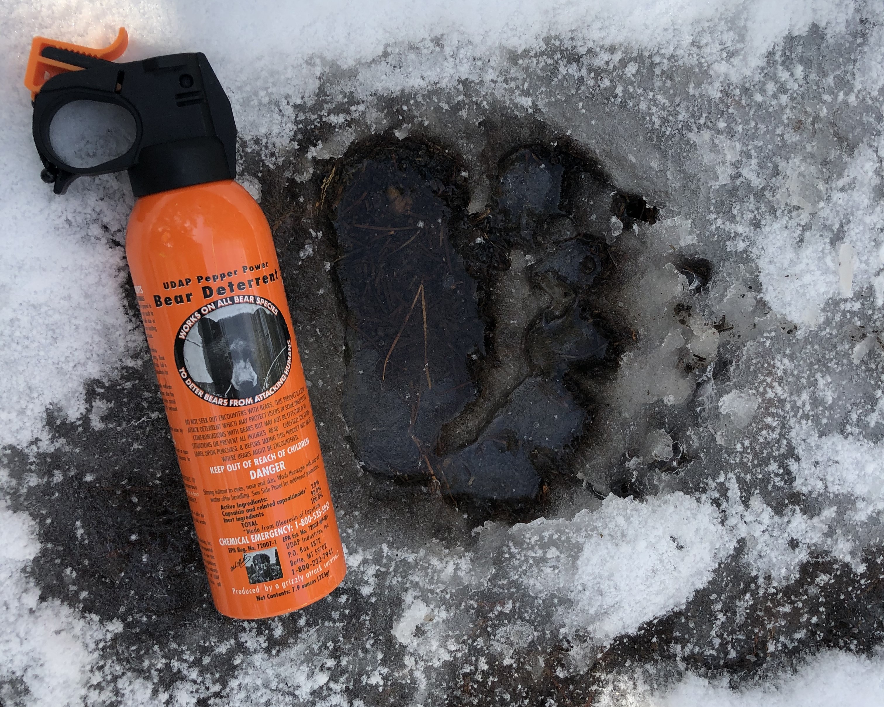 Bear Spray lying next to bear track