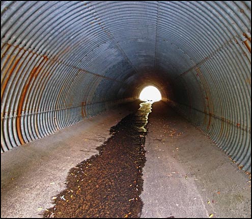 Big Meadow Creek culvert blocking steelhead access