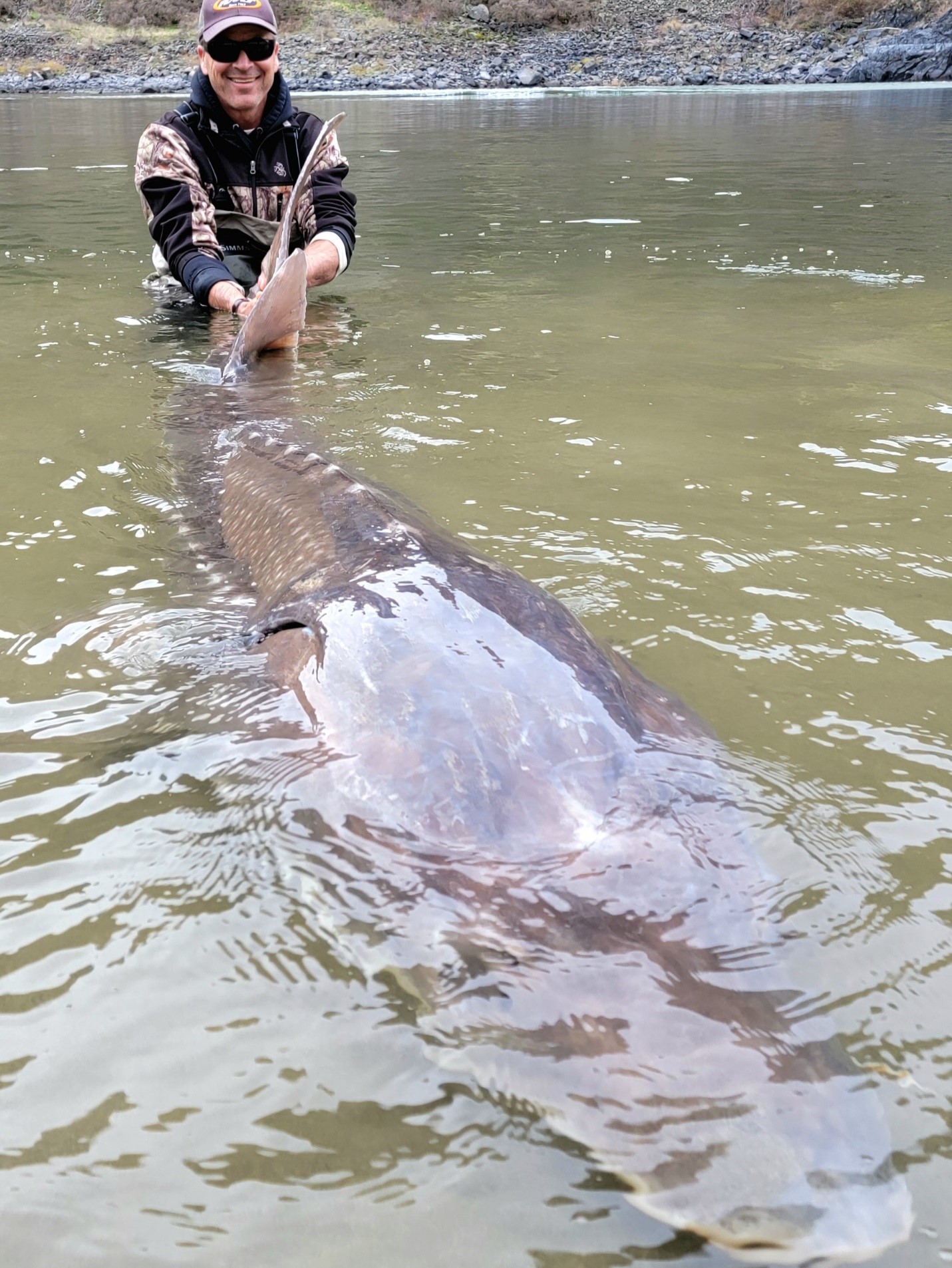 Hells Canyon sturgeon are so big that anglers don't need to lie