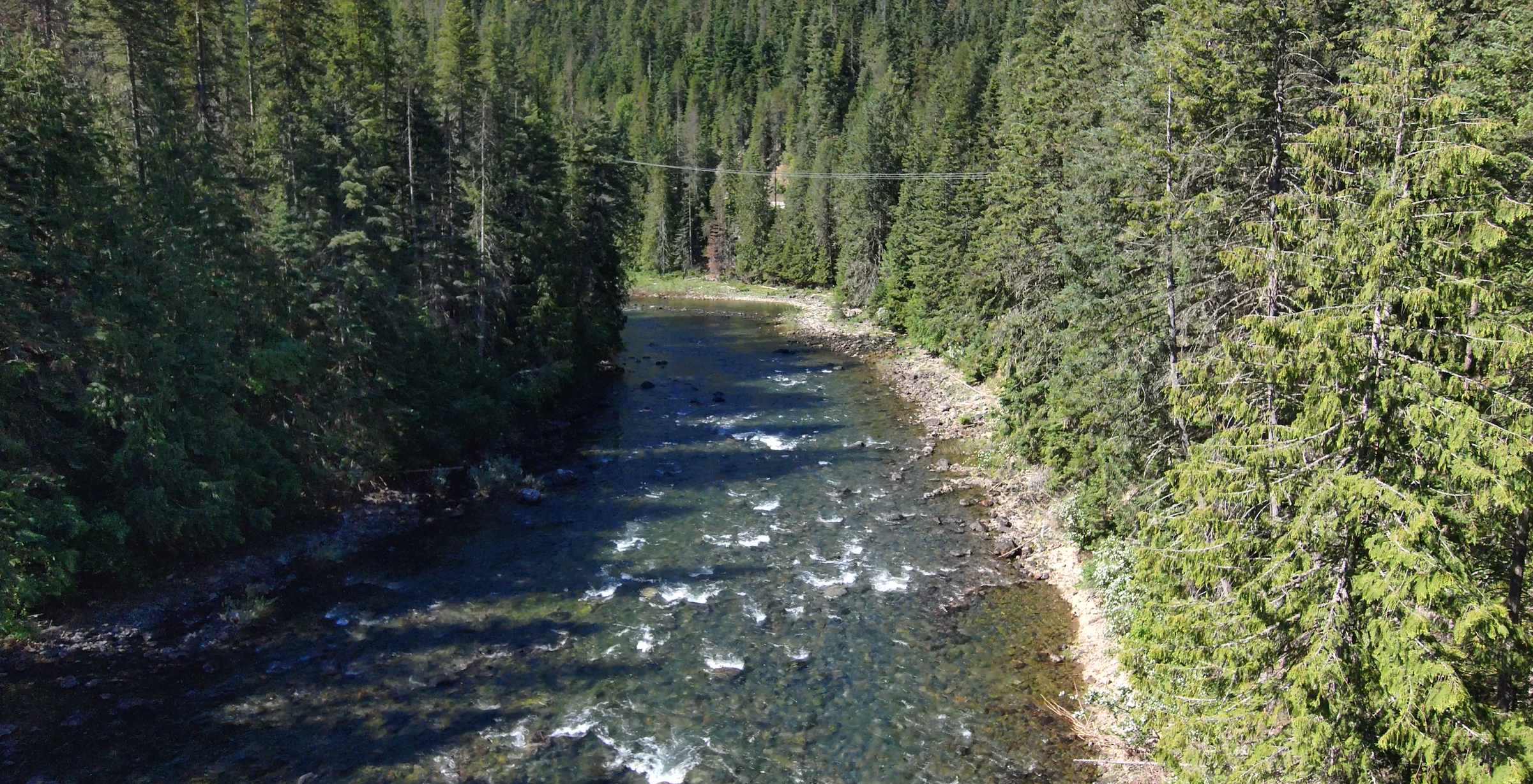 Binarch Creek, a tributary to Priest River in North Idaho.