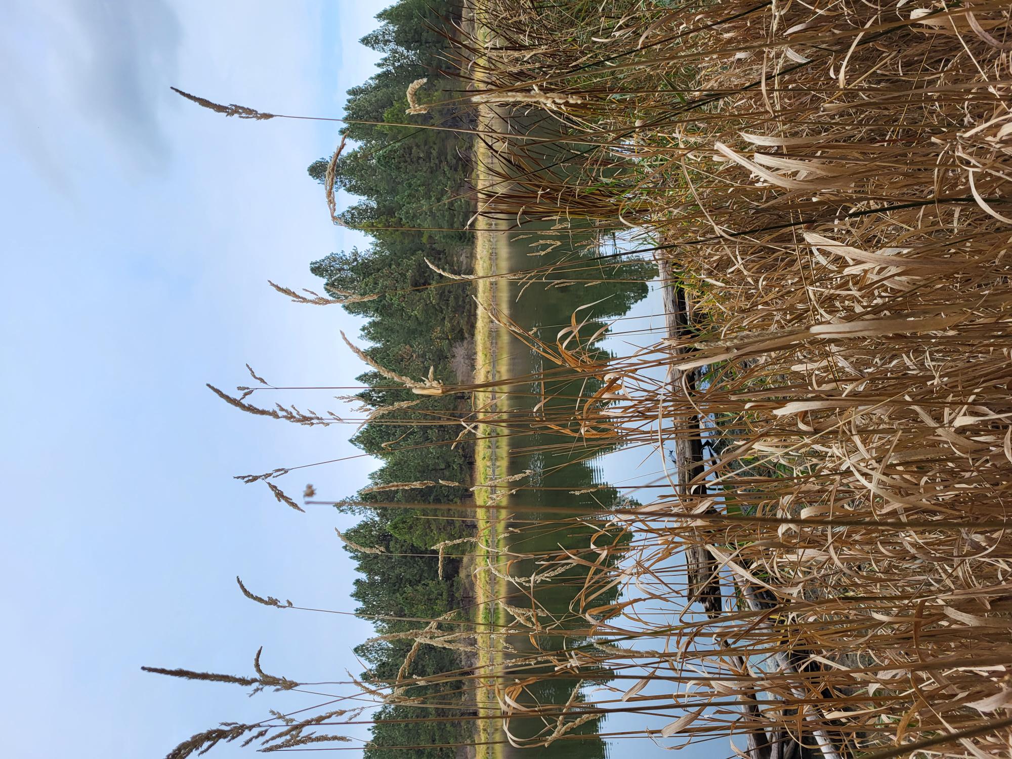 Waterfowl blind locations