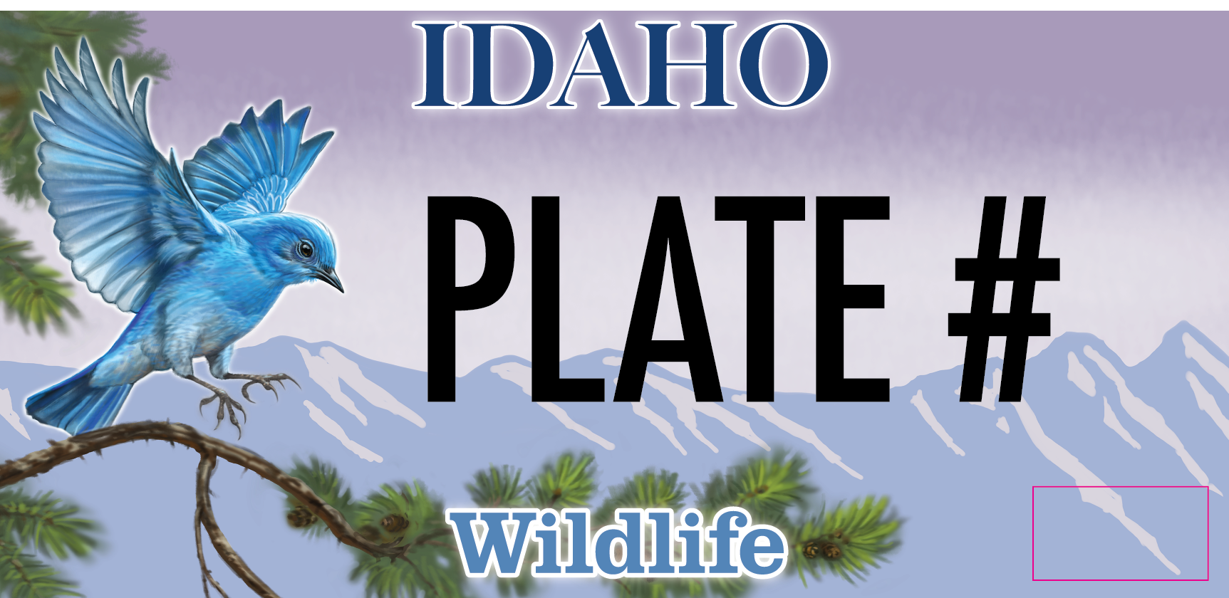 2024 Bluebird License Plate