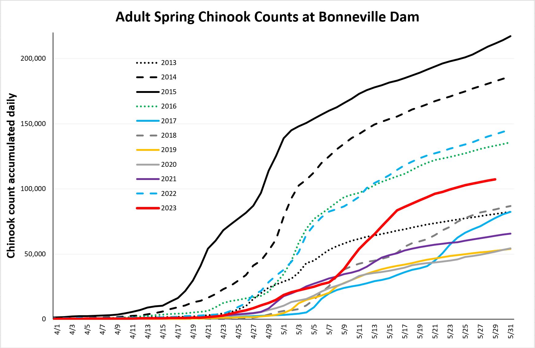 Cumulative daily chinook counts at Bonneville 5-29-23