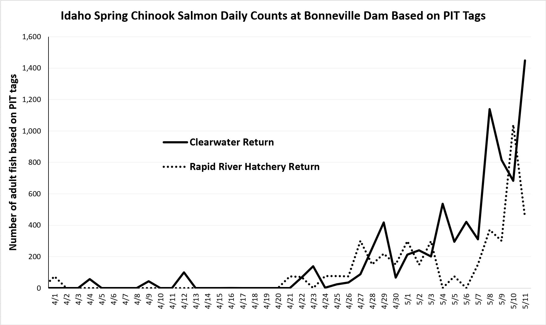 Bonneville Idaho Chinook PIT counts 5-12-22